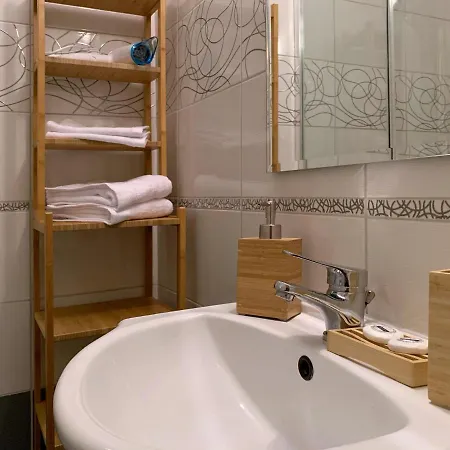 Apartament Casa Carol Brașov